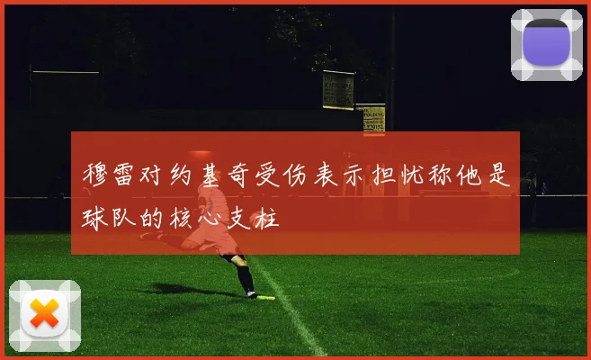 穆雷对约基奇受伤表示担忧称他是球队的核心支柱