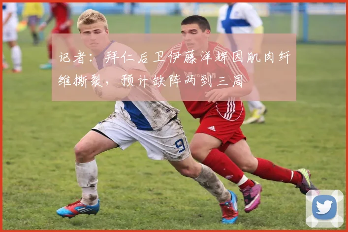 记者：拜仁后卫伊藤洋辉因肌肉纤维撕裂，预计缺阵两到三周