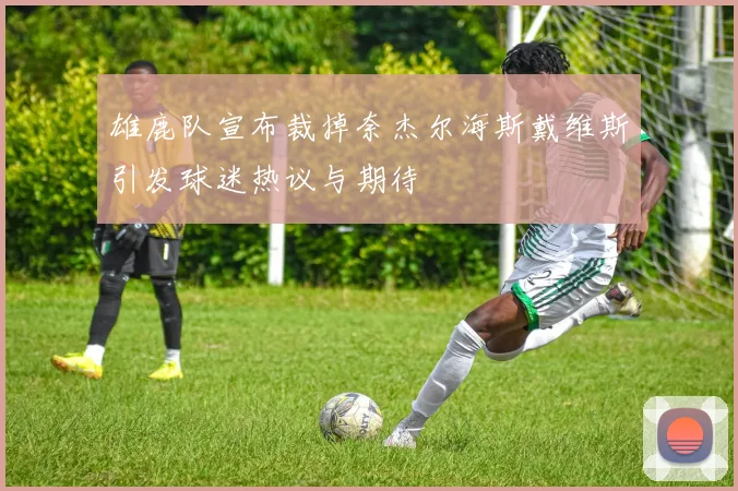 雄鹿队宣布裁掉奈杰尔海斯戴维斯引发球迷热议与期待