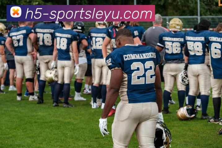 乐鱼体育APP 封面图